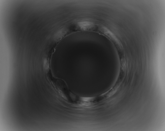 X0000099940471200805301220