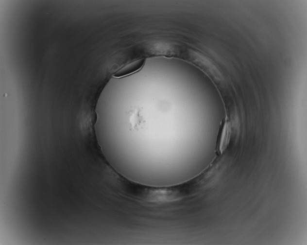 X0000099940473200805301220