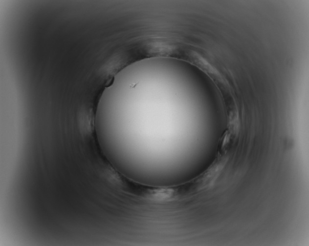 X0000099940474200805301220