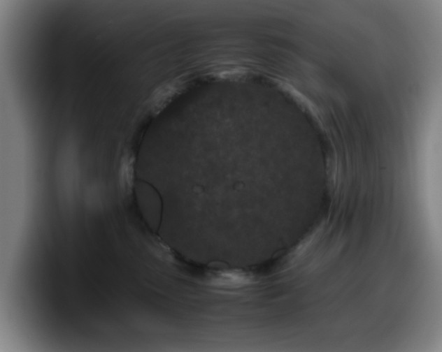 X0000099940475200805301220