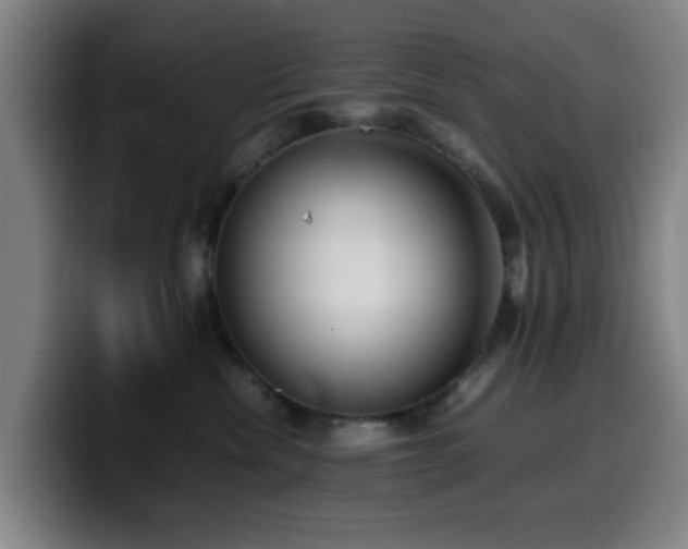 X0000099940476200805301221