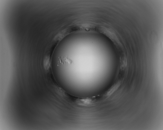 X0000099940478200805301221