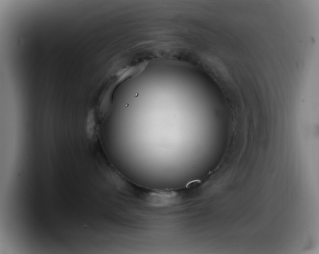 X0000099940480200805301221