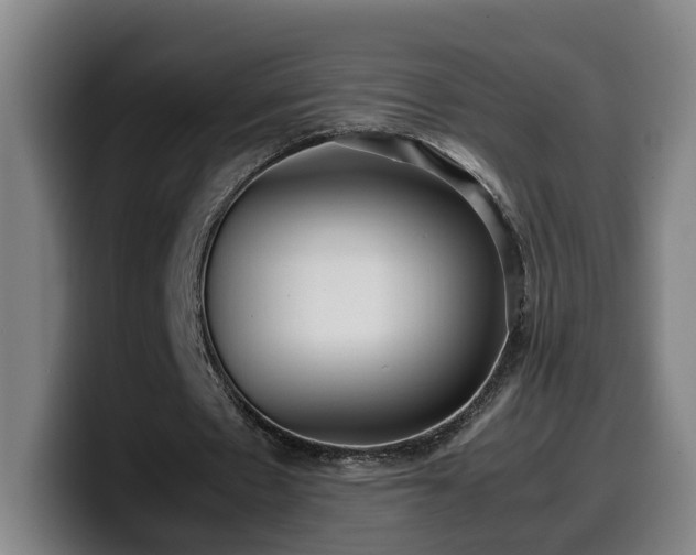 X0000099940481200805301220