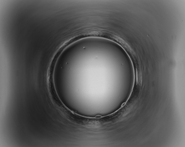 X0000099940483200805301220