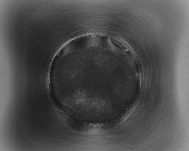 X0000099940484200805301220