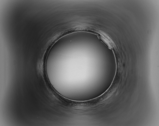 X0000099940485200805301220