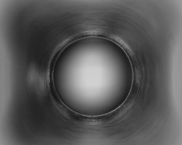 X0000099940486200805301220