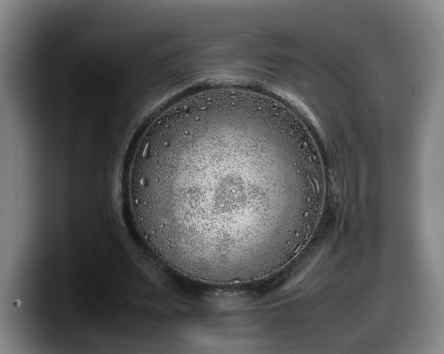 X0000099940487200805301220