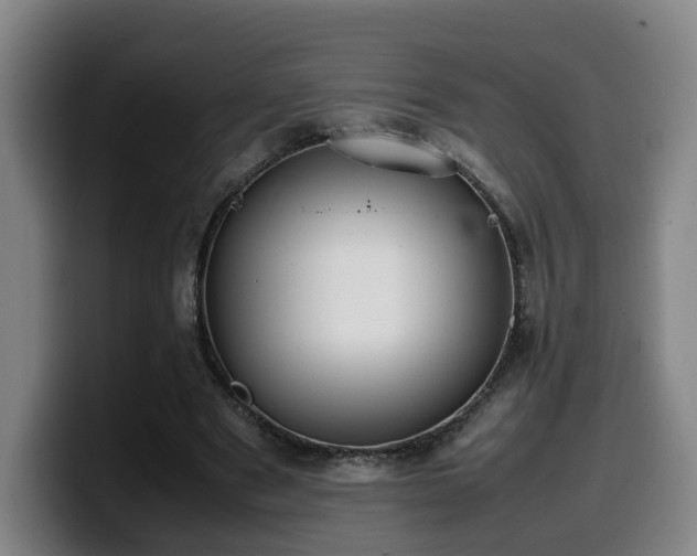 X0000099940489200805301220