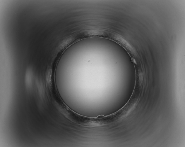 X0000099940490200805301220