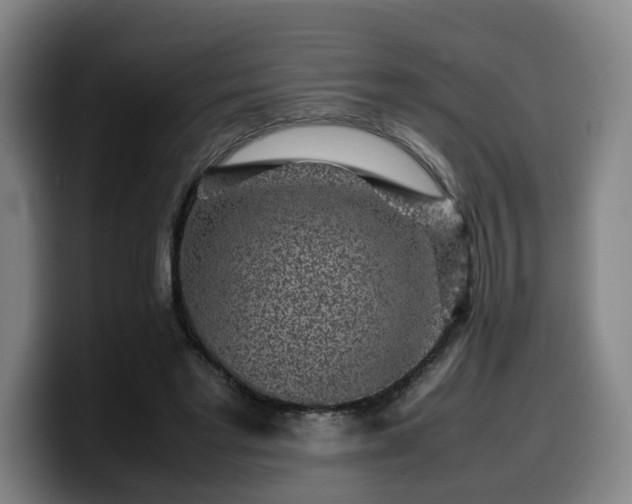 X0000099940493200805301220