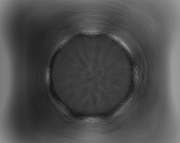 X0000099940494200805301220