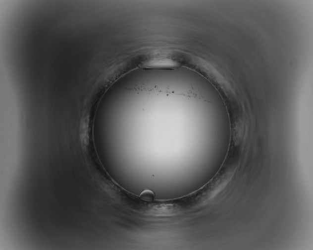 X0000099940497200805301220