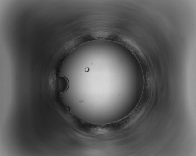 X0000099940498200805301220