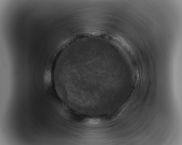 X0000099940500200805301220