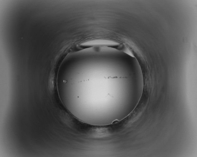 X0000099940501200805301220