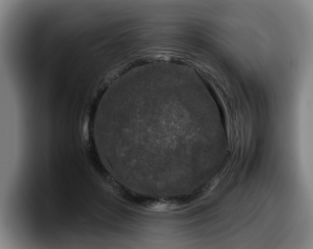 X0000099940504200805301220