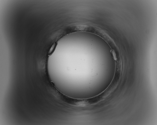 X0000099940505200805301220