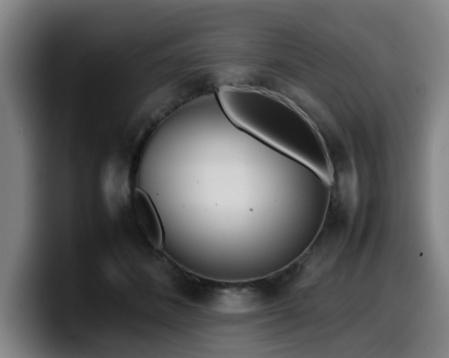 X0000099940508200805301220