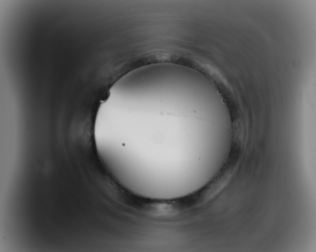 X0000099940509200805301220