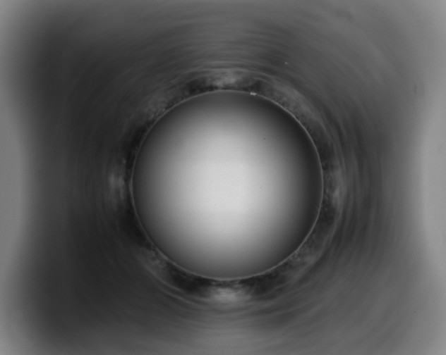 X0000099940510200805301220