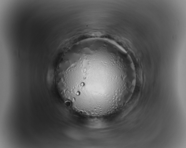 X0000099940511200805301220