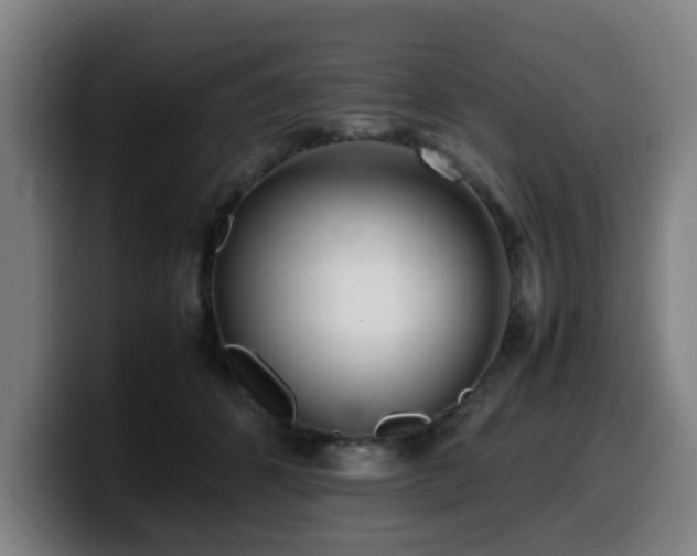 X0000099940512200805301220