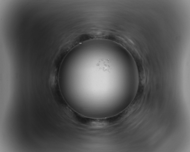 X0000099940515200805301220