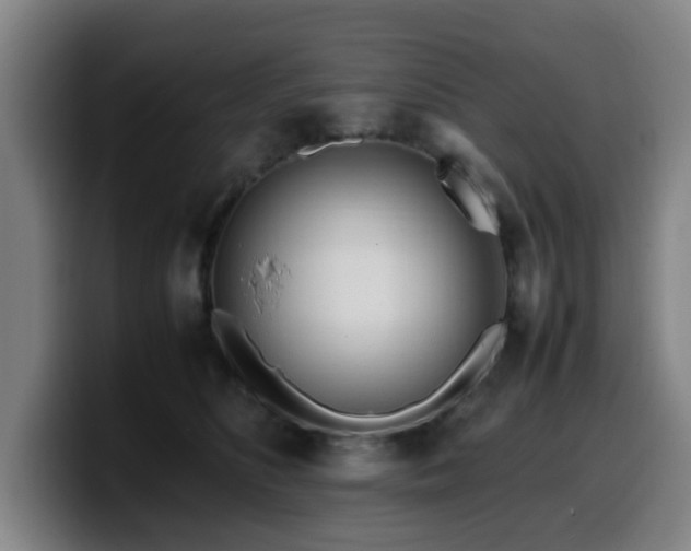 X0000099940516200805301220