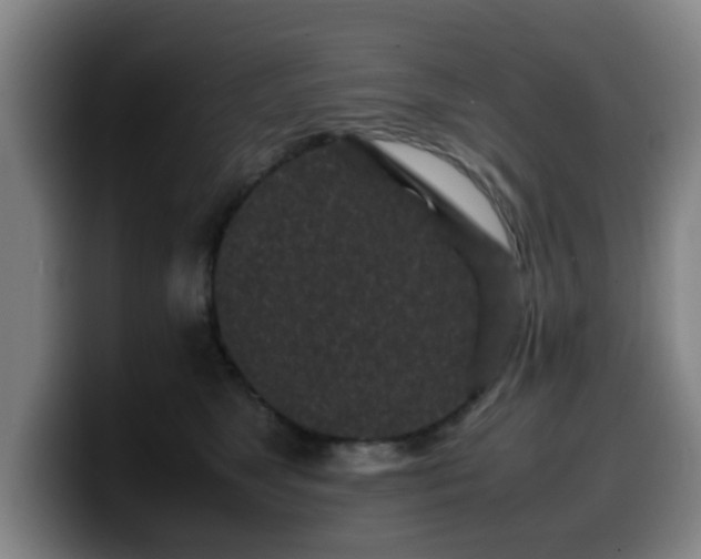 X0000099940517200805301219