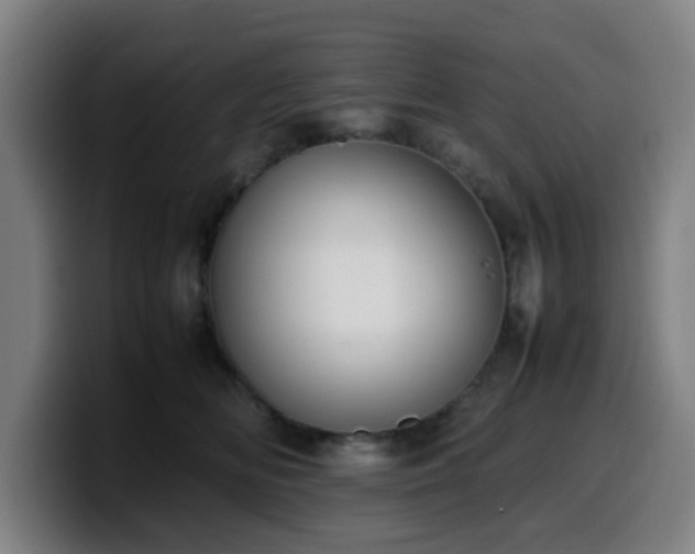 X0000099940518200805301219