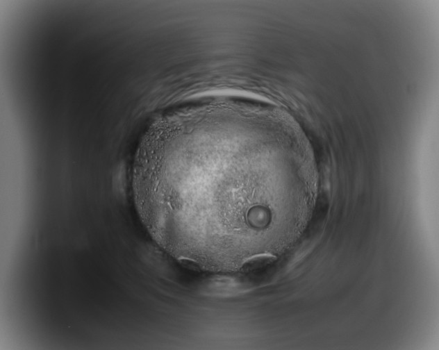 X0000099940519200805301219