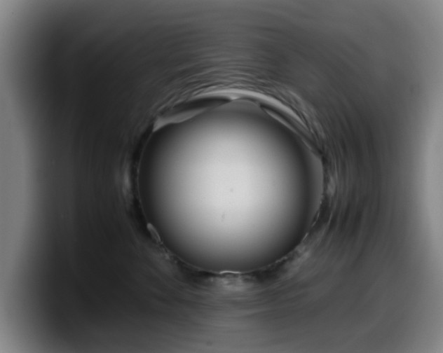 X0000099940524200805301219