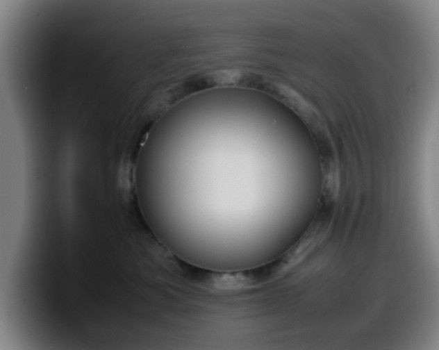 X0000099940525200805301219