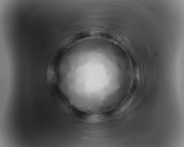 X0000099940527200805301219