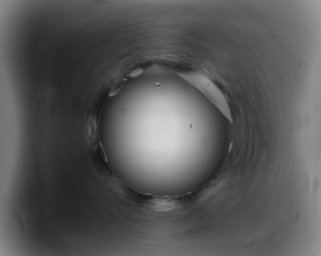 X0000099940528200805301219