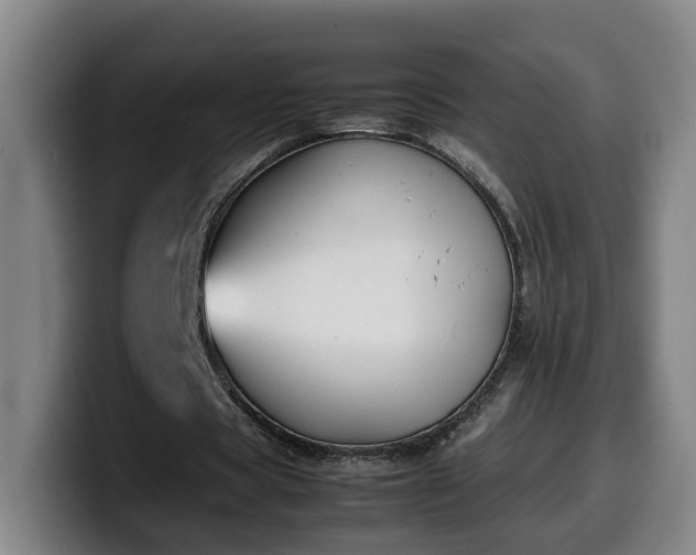 X0000099940529200805301219