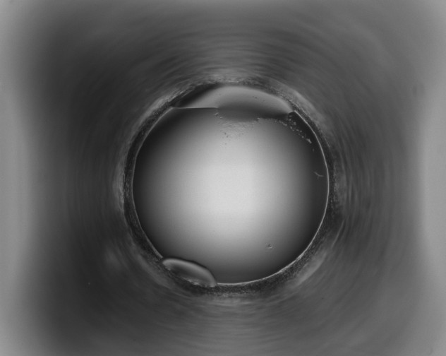 X0000099940530200805301219