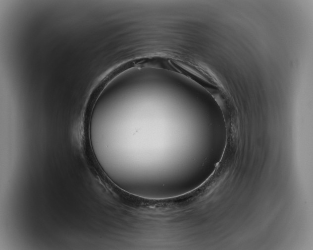 X0000099940532200805301219
