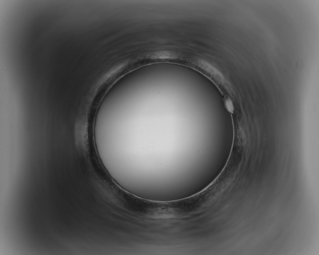 X0000099940535200805301219