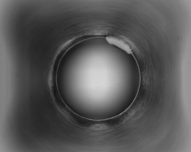 X0000099940536200805301219