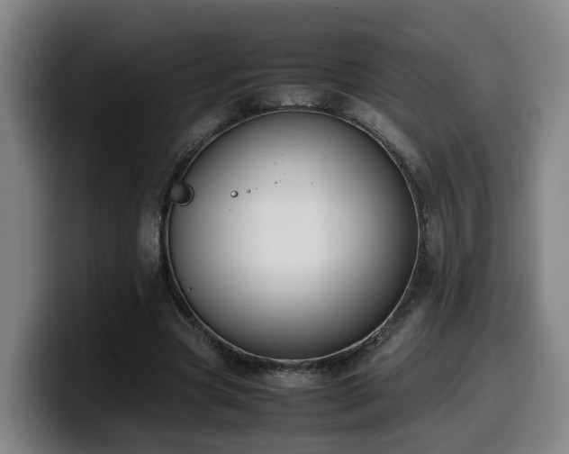X0000099940537200805301219