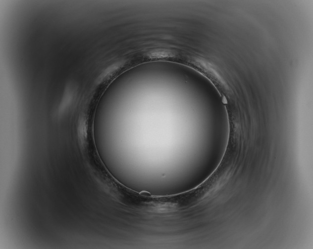 X0000099940539200805301219