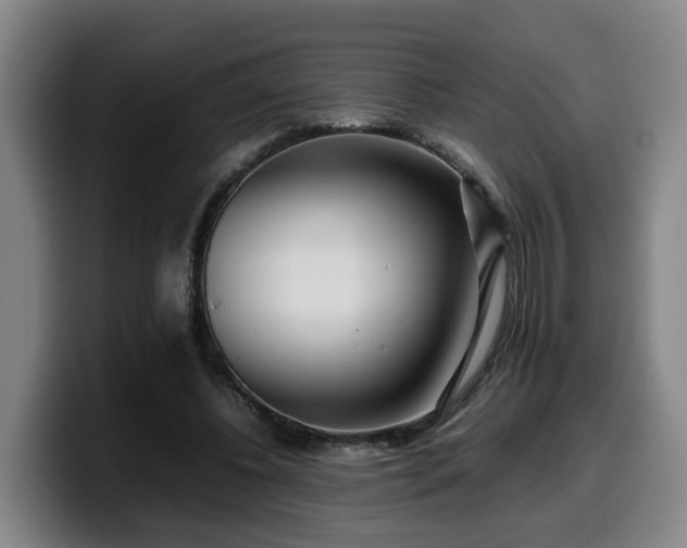 X0000099940540200805301219