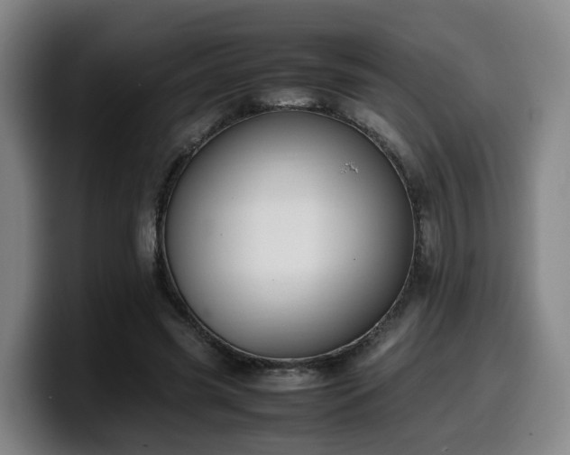 X0000099940541200805301219