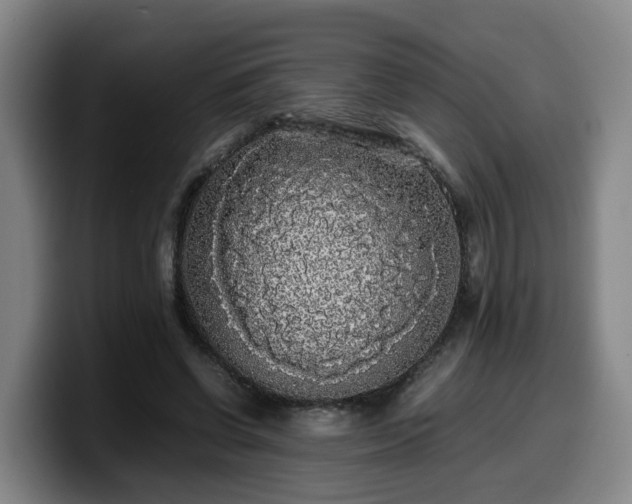 X0000099940542200805301219