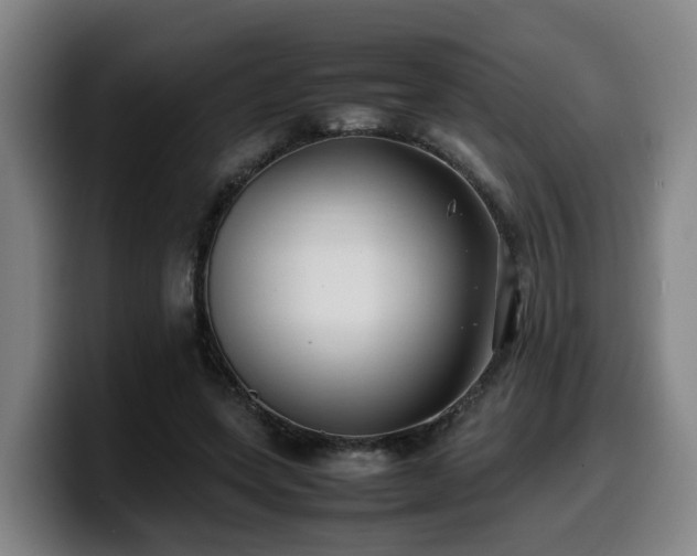 X0000099940543200805301219