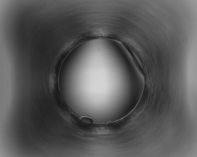 X0000099940544200805301219