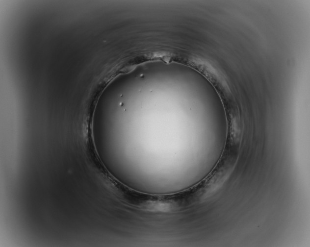 X0000099940545200805301219